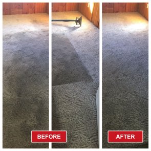 Carpet Cleaner Georgetown